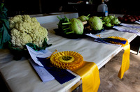 Juried Vegetables at Outagamie County Fair; 2019