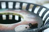 Discarded Cigar; 2020