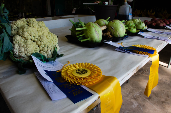 Juried Vegetables at Outagamie County Fair; 2019